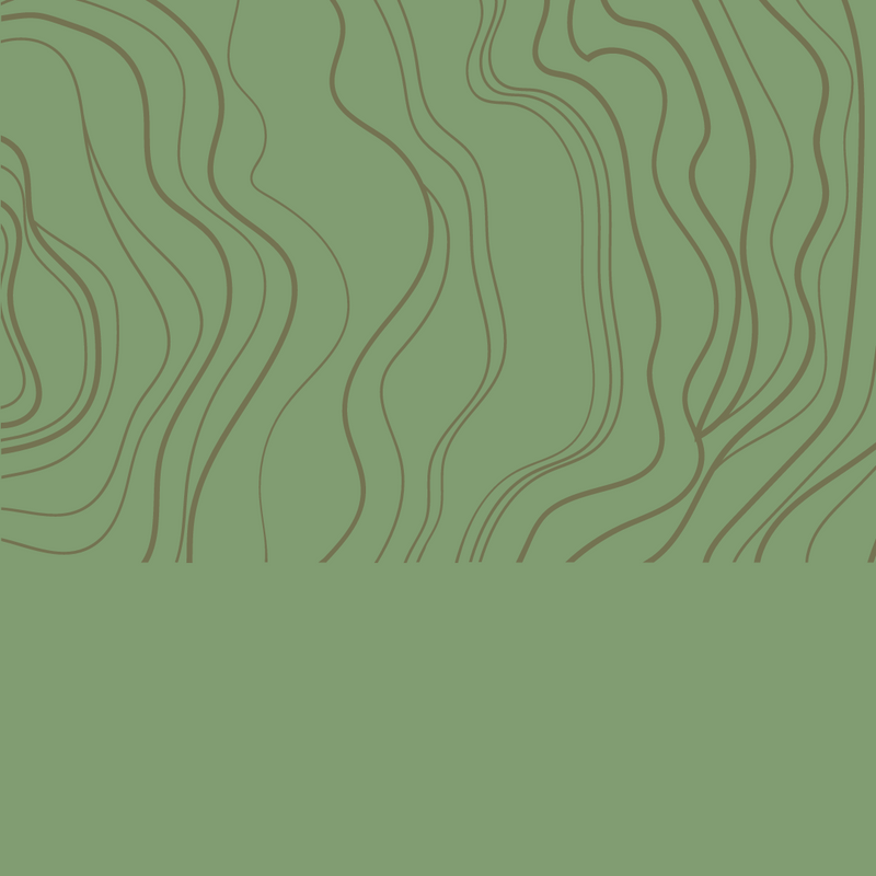 Rewiring| What does it mean to rewire the brain after years of extended trauma?