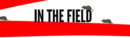 Redlines Part 1: Printable Digital Zine