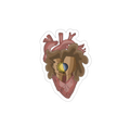 vinyl sticker: Dual
